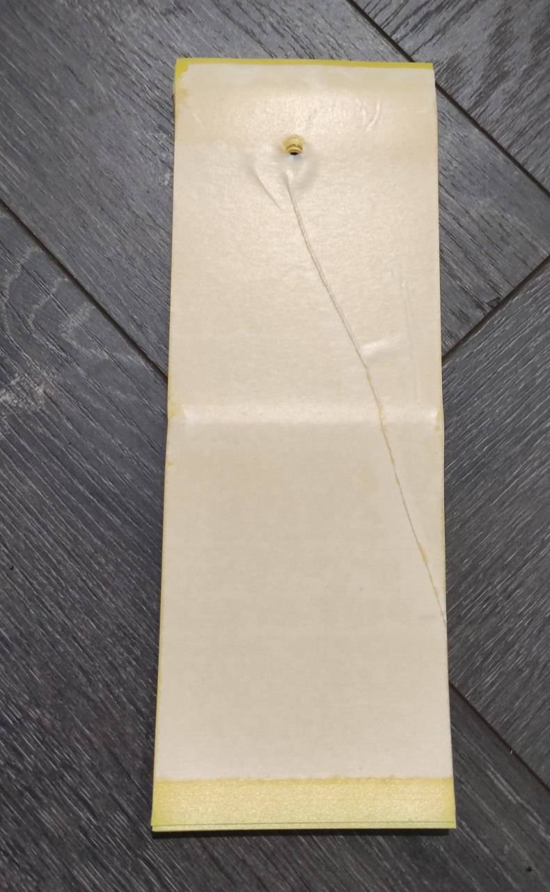 چسب حشره کارتی